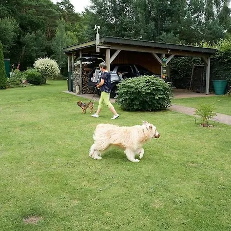 Waldblick * Fuhlendorf (Mecklenburg-Vorpommern)