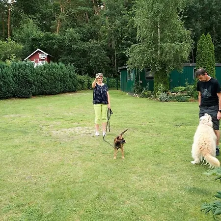 Waldblick Lejlighed *